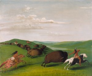 Bøffeljagt med buer og lanser af George Catlin