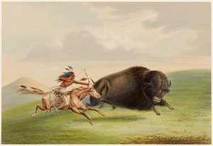 Bøffeljagt, forfølgelse af George Catlin
