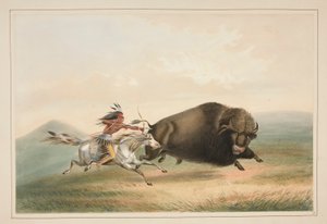 Buffalo Hunt, Chase, pl. 5 fra North American Indian Portfolio af George Catlin
