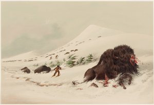  af George Catlin