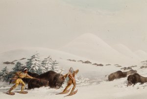Bøffeljagt på snesko af George Catlin