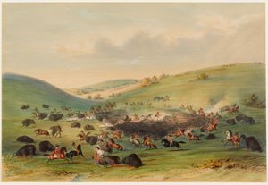 Bøffeljagt, omringning af George Catlin