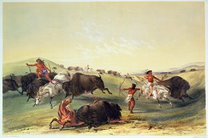 Buffalo Hunt, plade 7 fra Catlins North American Indian Collection, graveret af McGahey, Day og Haghe