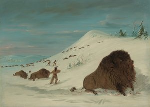 Buffalo Lancing in the Snow Drifts - Sioux, 18611869. af George Catlin