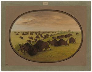 Tyre kæmper af George Catlin