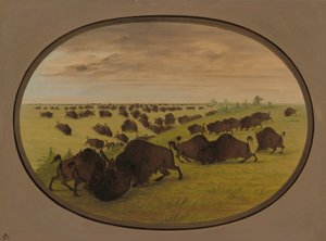 Tyrekamp, 18611869. af George Catlin