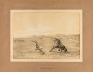 At fange den vilde hest - nr. 4 af George Catlin
