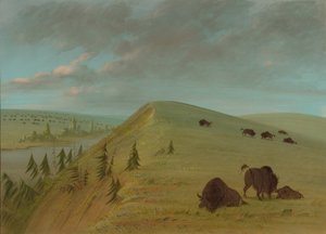 Cedar Bluffs, 18611869. af George Catlin