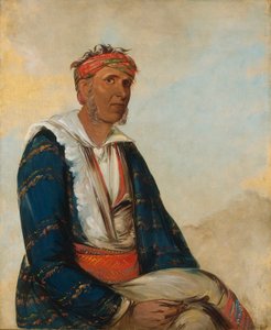 Cól-lee, en bandeleder af George Catlin