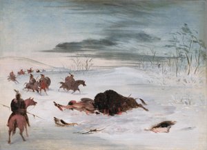 Døende bøffeltyr i en snedrive af George Catlin