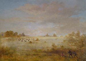 Elge græsser på en efterårsprærie af George Catlin