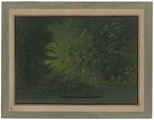 Indgang til en lagune, Amazonas kyst af George Catlin