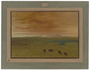Fantastisk vaskehus, Pampa del Sacramento af George Catlin