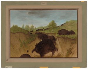 Grizzlybjørne angriber bøfler af George Catlin