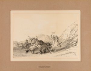 Indianere angriber grizzlybjørne - nr. 19 af George Catlin