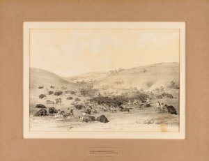 Indianere omringer Buffalo - nr. 9 af George Catlin