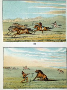 Indians of America: hvordan man fanger vilde heste. Illustration af George Catlin (1794-1872) af George Catlin