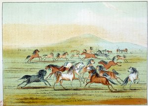 Indians of America: vilde heste jaget af indianere. Illustration af George Catlin (1794-1872) af George Catlin