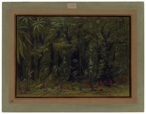 Interiør af en Amazonaskov - Zurumati af George Catlin