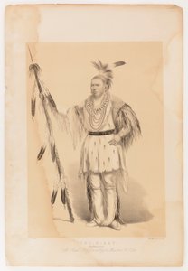 Joc-o-sot, den vandrende bjørn af George Catlin