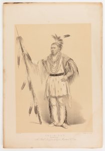 Joc-o-sot, den vandrende bjørn af George Catlin