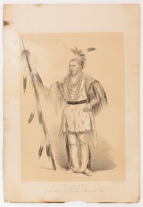Joc-o-sot, den vandrende bjørn af George Catlin