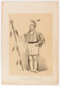 Joc-o-sot, den vandrende bjørn af George Catlin
