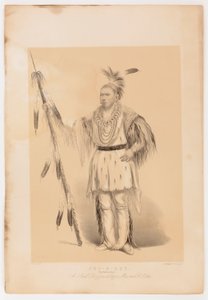 Joc-o-sot, den vandrende bjørn af George Catlin