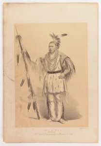 Joc-o-sot, den vandrende bjørn af George Catlin