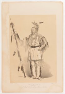 Joc-o-sot, den vandrende bjørn af George Catlin