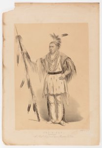 Joc-o-sot, den vandrende bjørn af George Catlin