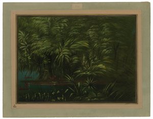 frodig skov på bredden af Amazonas af George Catlin