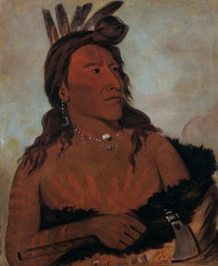 Mah-tó-che-ga, Lille Bjørn, en modig hunkpapa af George Catlin