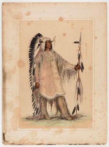 Mah-to-toh-pa, mandanernes høvding af George Catlin
