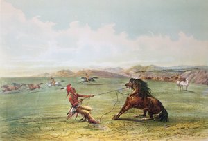 Osagejægere fanger vilde heste (farve litho)