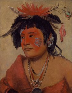 Pah-shee-náu-shaw, en kriger af George Catlin