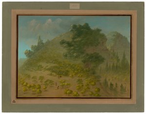 Rhododendronbjerget af George Catlin