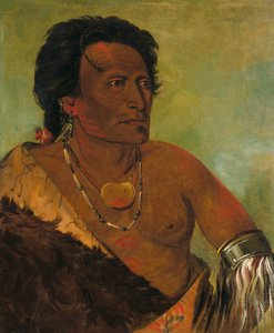 Sky-se-ró-ka, stammens anden høvding af George Catlin