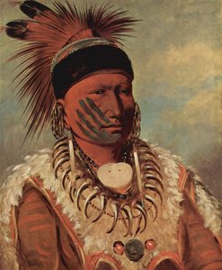 Den Hvide Sky, Iowaernes øverste høvding af George Catlin