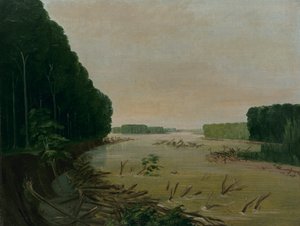 Udsigt over Missouri, Alluvial Banks Falling in, 600 Miles over St. Louis, 1832. af George Catlin