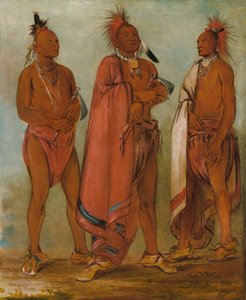 Wa-másh-ee-sheek, Han, der tager væk; Wa-chésh-uk, Krig; Mink-chésk, Tre fremtrædende unge mænd af George Catlin