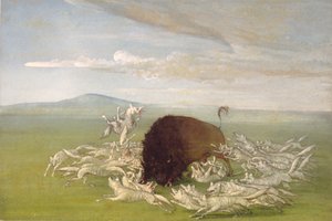 Hvide ulve angriber en bøffeltyr af George Catlin