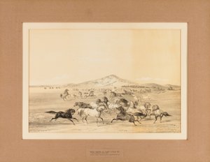 Vilde heste i leg - nr. 3 af George Catlin