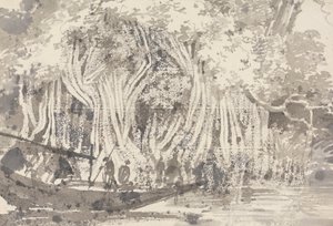 Et Pipul Træ af George Chinnery