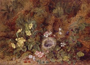 Stilleben med fuglerede og vilde blomster