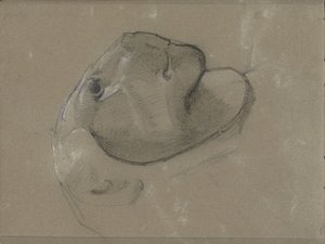 Løvehoved, formentlig efter en skulptur af George Clausen
