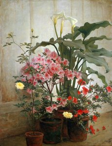 Side af et drivhus, 1870-80.