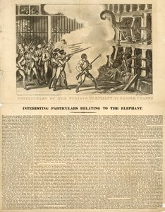Ødelæggelse af den rasende elefant ved Exeter Change af George Cruikshank