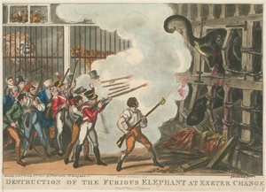 Ødelæggelse af den rasende elefant ved Exeter Change, 1826 af George Cruikshank