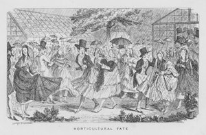 Havebrugsskæbne, altså regn ved en fest af George Cruikshank